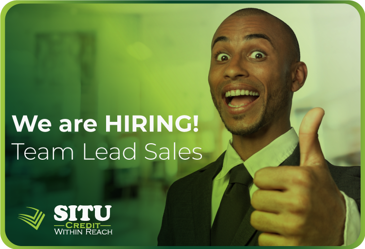 Team Lead Sales job vacancy